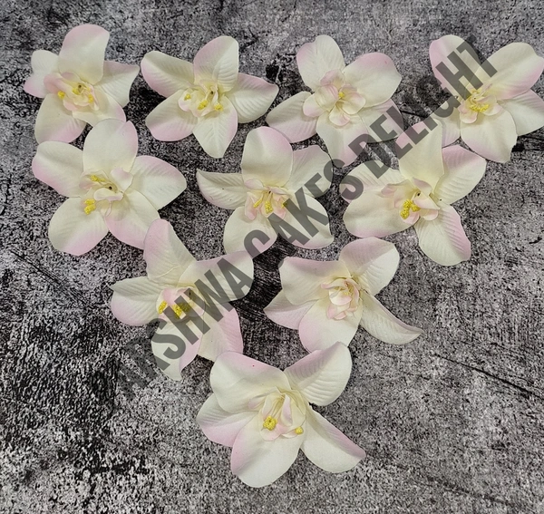 FLOWER - DELIGHT 213, 10 PCS PACK