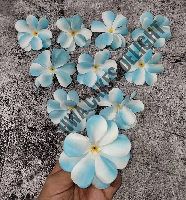 FLOWER - DELIGHT 215, 10 PCS PACK