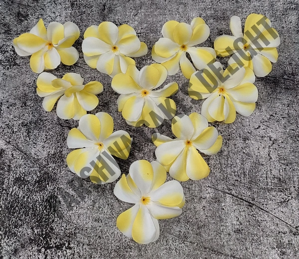 FLOWER - DELIGHT 216, 10 PCS PACK