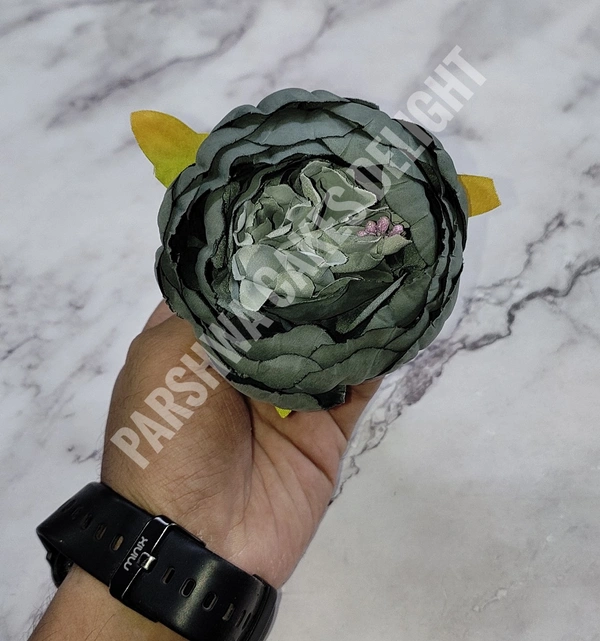 BIG PEONY - DELIGHT 1, 1 PC