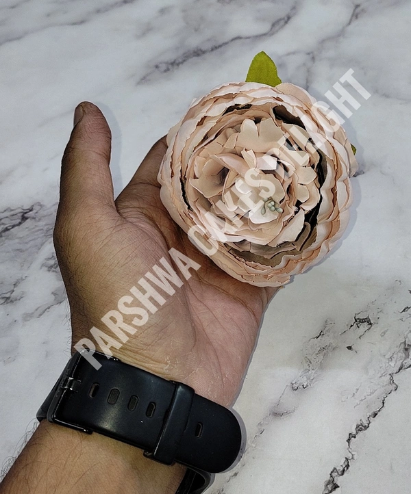 BIG PEONY - DELIGHT 9, 1 PC