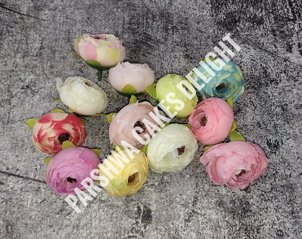 SMALL PEONY  - DELIGHT 150, 6 PCS, Assorted Shades