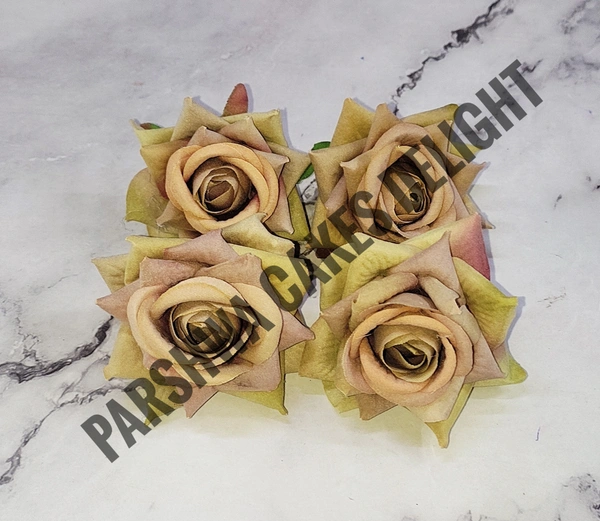 ROSES - 4 PCS, DELIGHT 36