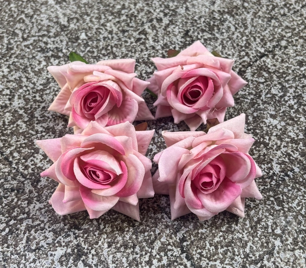 ROSES - DELIGHT 61, 4 PCS