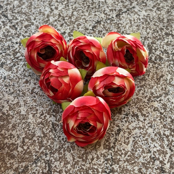 SMALL PEONY  - DELIGHT 141, 6 PCS