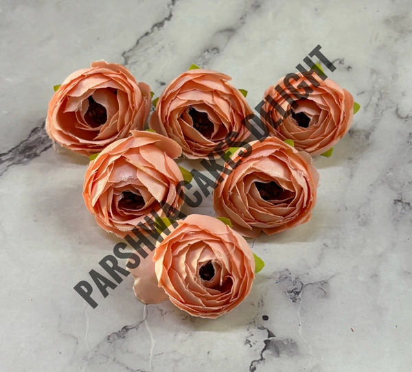 SMALL PEONY  - DELIGHT 147, 6 PCS