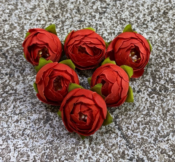 SMALL PEONY  - DELIGHT 253, 6 PCS