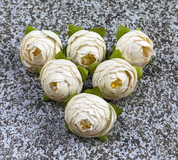 SMALL PEONY  - DELIGHT 256, 6 PCS