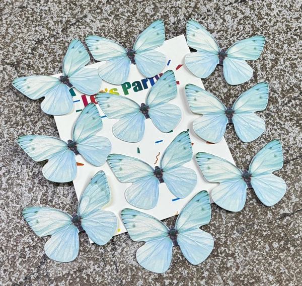 Non Edible Butterfly - Delight 21