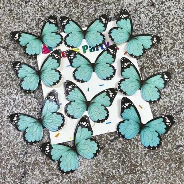 Non Edible Butterfly - Delight 23