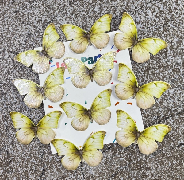 Non Edible Butterfly - Delight 28