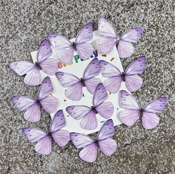 Non Edible Butterfly - Delight 31