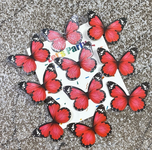 Non Edible Butterfly - Delight 34