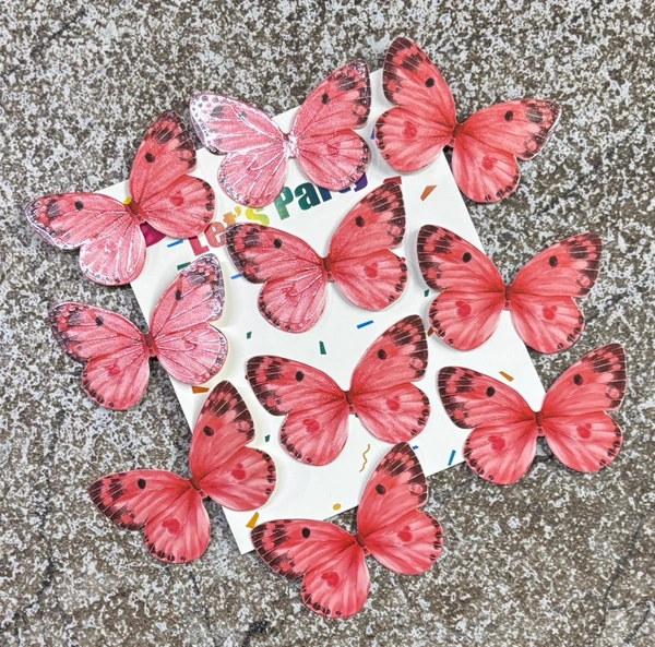 Non Edible Butterfly - Delight 38