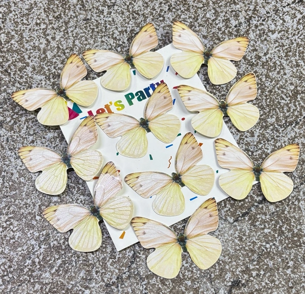 Non Edible Butterfly - Delight 45