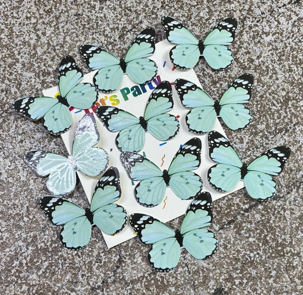 Non Edible Butterfly - Delight 47