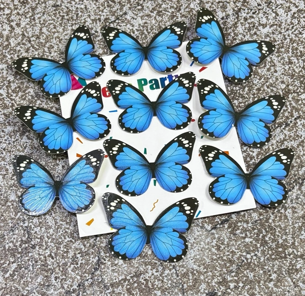 Non Edible Butterfly - Delight 55