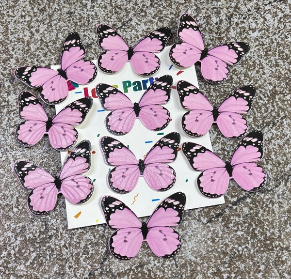 Non Edible Butterfly - Delight 56