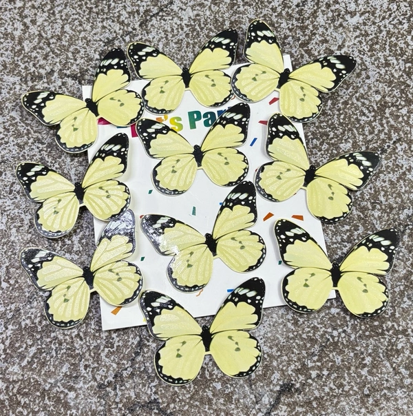 Non Edible Butterfly - Delight 57