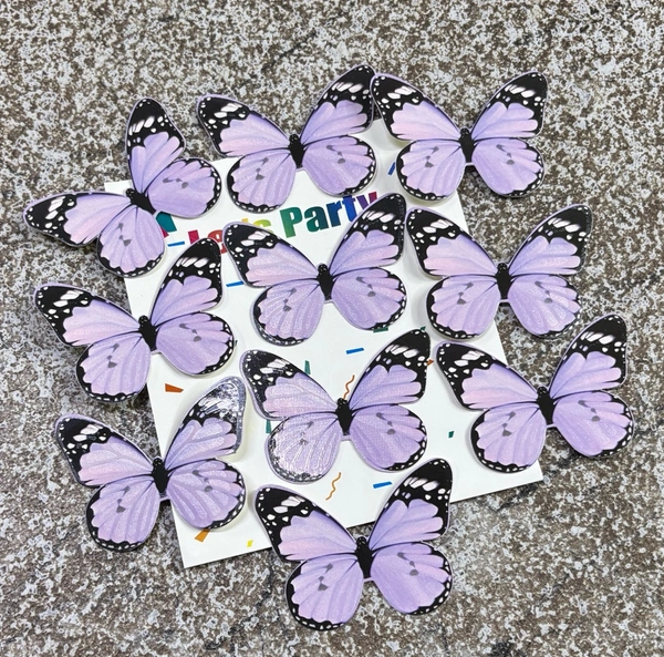 Non Edible Butterfly - Delight 60