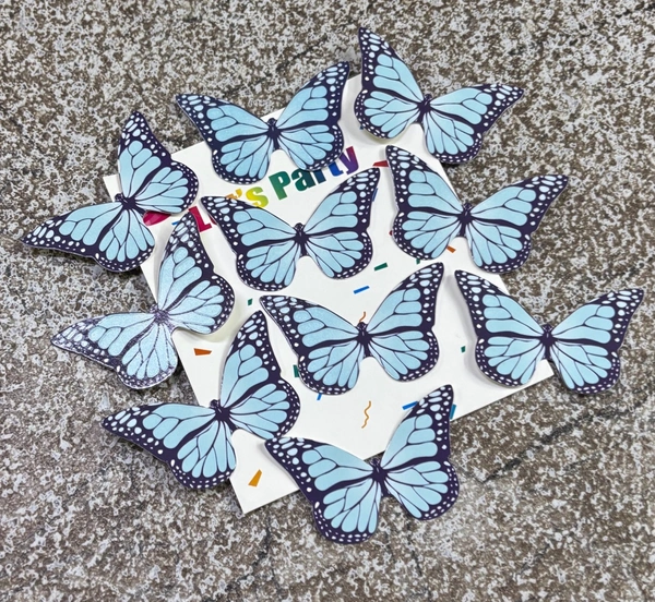 Non Edible Butterfly - Delight 61
