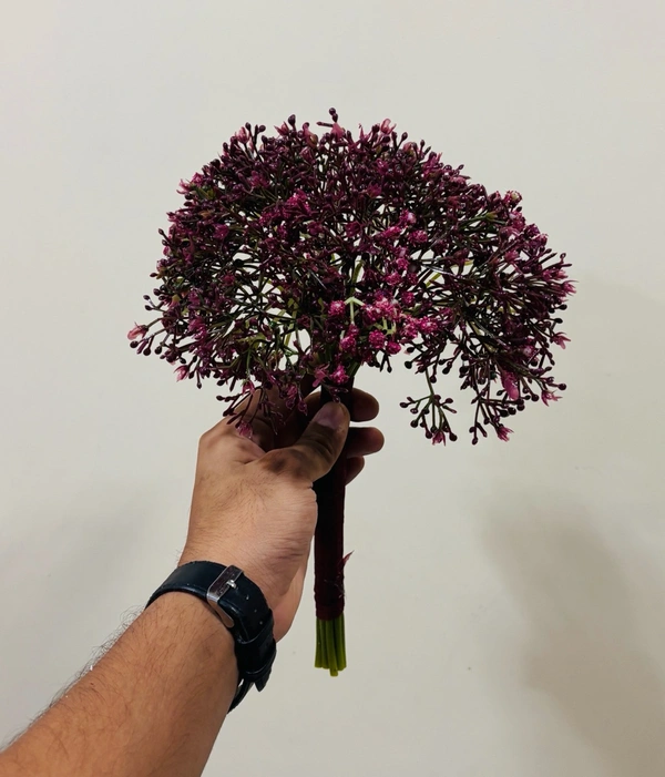 IMPORTED GYPSY BUNCH - Maroon