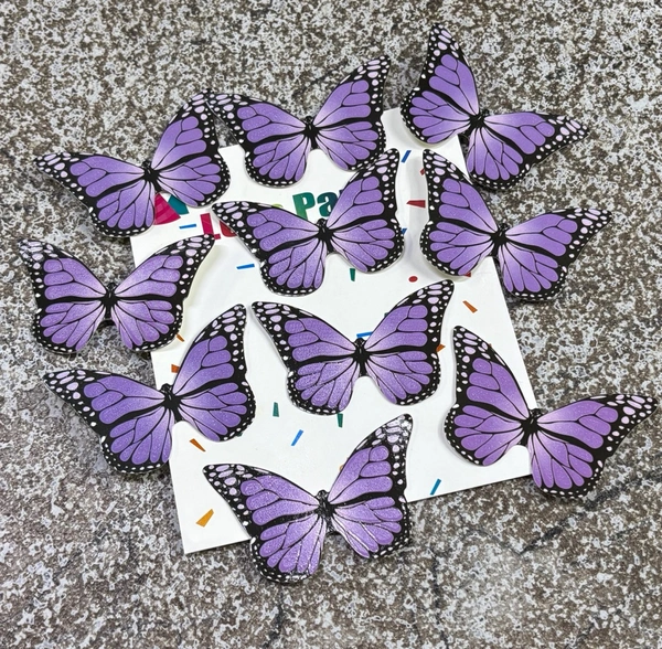 Non Edible Butterfly - Delight 65