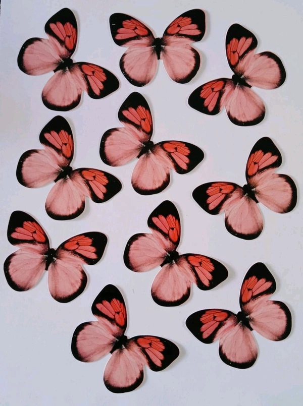 Non Edible Butterfly - Delight 76