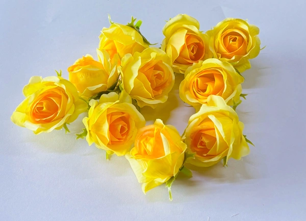 Mini Rose Flower - Delight 6, 10 Pcs Pack