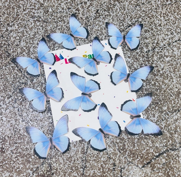 PAPER BUTTERFLY - Delight 21, 10 Pcs Pack