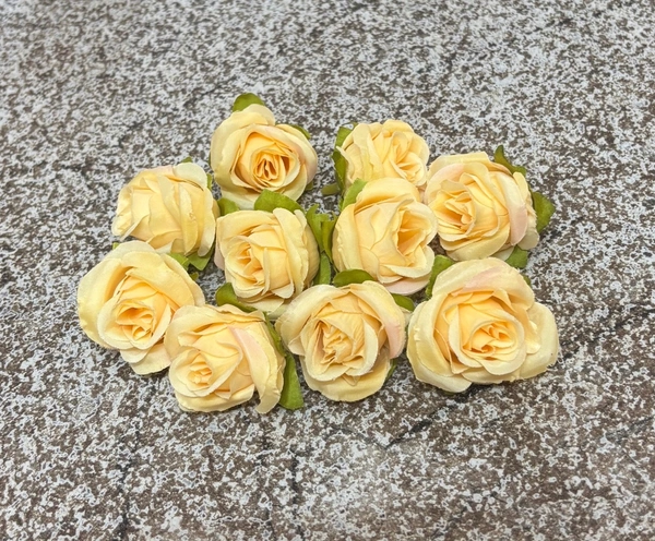 Mini Rose Flower - 10 Pcs Pack, Delight 17
