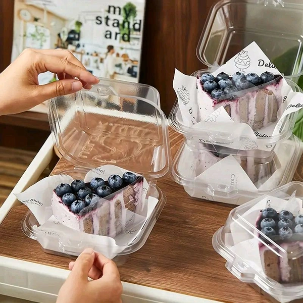 PVC Transparent Square Bento Box  - 10 Pcs Pack