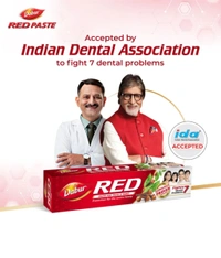 DABUR Dabur Red Paste | Treats Bad Breath | Cavity Protection | Plaque Removal | 13 Herbs Toothpaste (100g)