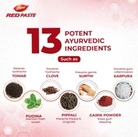 DABUR Dabur Red Paste | Treats Bad Breath | Cavity Protection | Plaque Removal | 13 Herbs Toothpaste (100g)