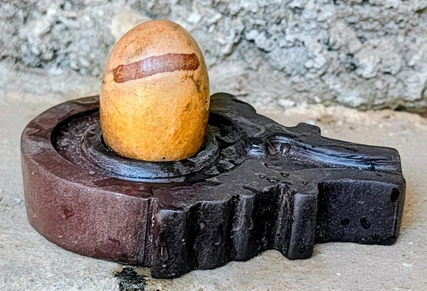 2 Inch Tripund dhari Narmadeshwar Shivling with Shakti Jaladhara