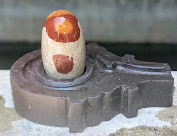 2 Inch  Tripund Dhari Shivling with Shakti Jaladhara
