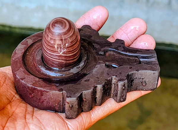 2 Inch  JaneuDhari Shivling with Shakti Jaladhara