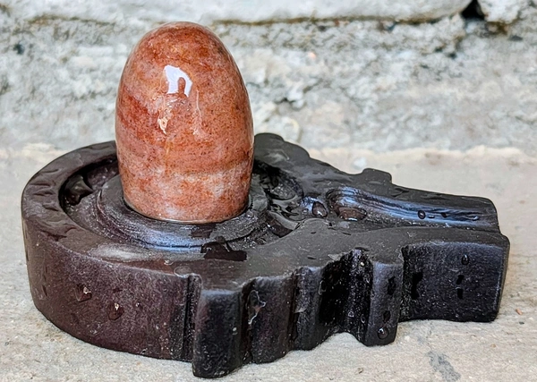 2 Inch Narmadeshwar Shivling with Shakti Jaladhara