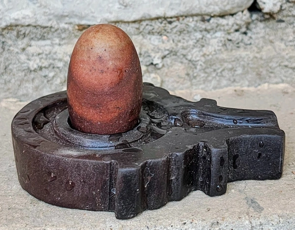 2 Inch Narmadeshwar Shivling with Shakti Jaladhara