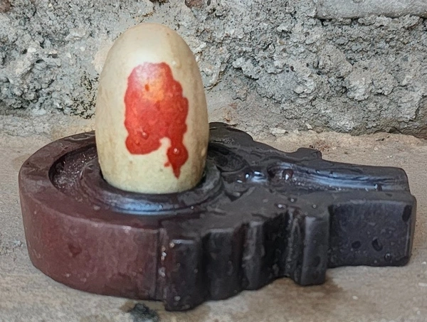 2 Inch Narmadeshwar Shivling with Shakti Jaladhara