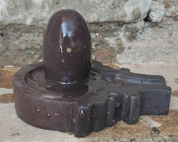 2 Inch Narmadeshwar Shivling with Shakti Jaladhara