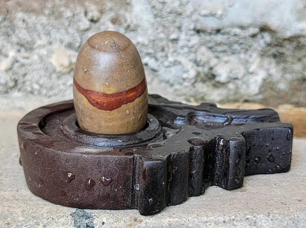 2 Inch Narmadeshwar Shivling with Shakti Jaladhara