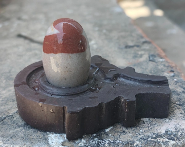 2 Inch  Narmadeshwar Shivling with Shakti Jaladhara