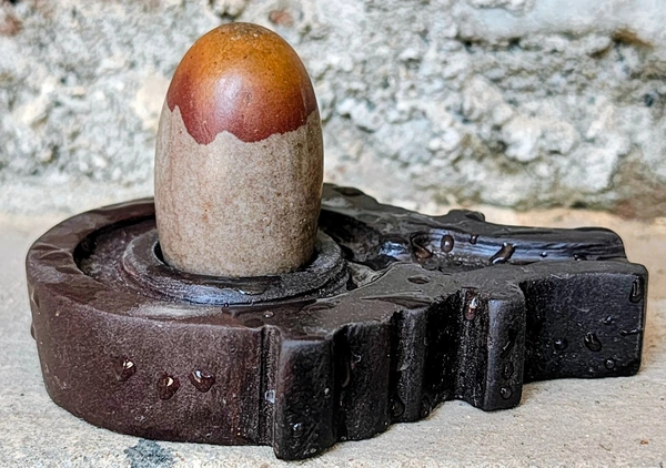 2 Inch Narmadeshwar Shivling with Shakti Jaladhara