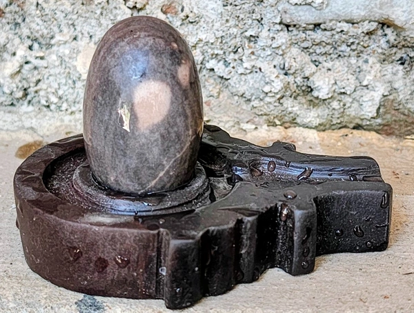 2 Inch Narmadeshwar Shivling with Shakti Jaladhara