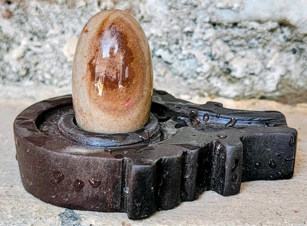 2 Inch Narmadeshwar Shivling with Shakti Jaladhara