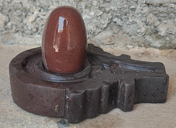 2 Inch Narmadeshwar Shivling with Shakti Jaladhara