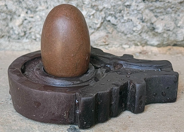 2 Inch Narmadeshwar Shivling with Shakti Jaladhara