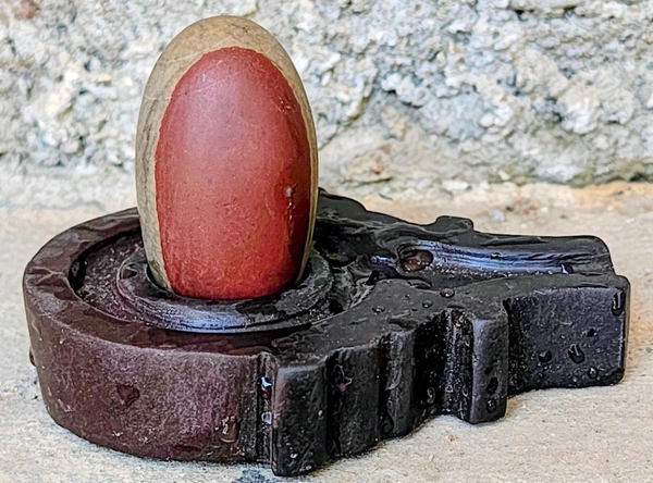 2 Inch Narmadeshwar Shivling with Shakti Jaladhara