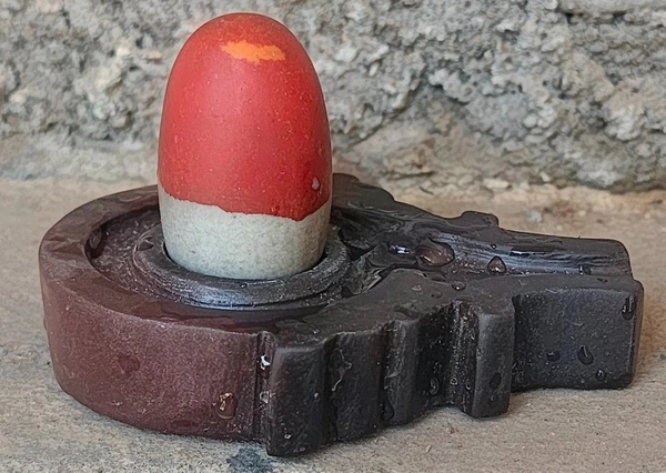 2 Inch Mahakal Tilak Shivling with Shakti Jaladhara